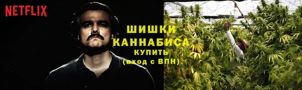 2c-b Белоозёрский