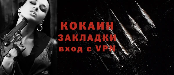 соль ск Белокуриха