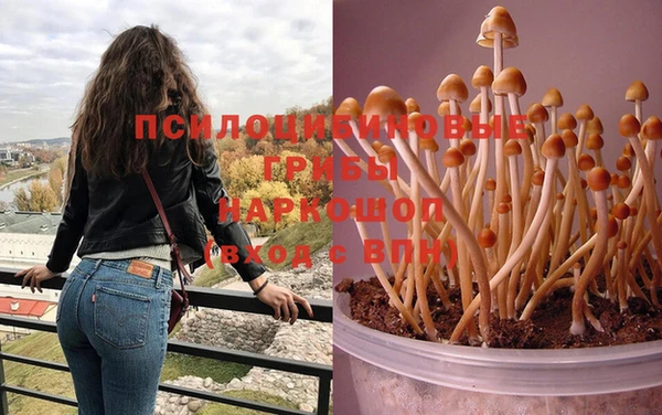 2c-b Белоозёрский