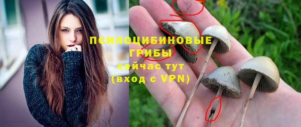 гидропоника Беломорск