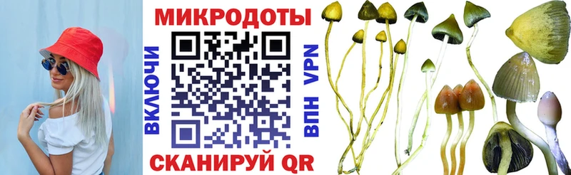 Псилоцибиновые грибы прущие грибы  hydra ссылки  Иноземцево 