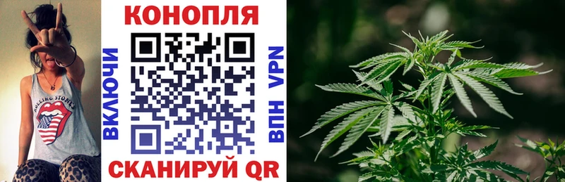 наркошоп  Иноземцево  Бошки марихуана сатива 